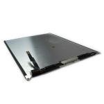 Ecran iPad 10.2" (iPad 7e/8e/9e)